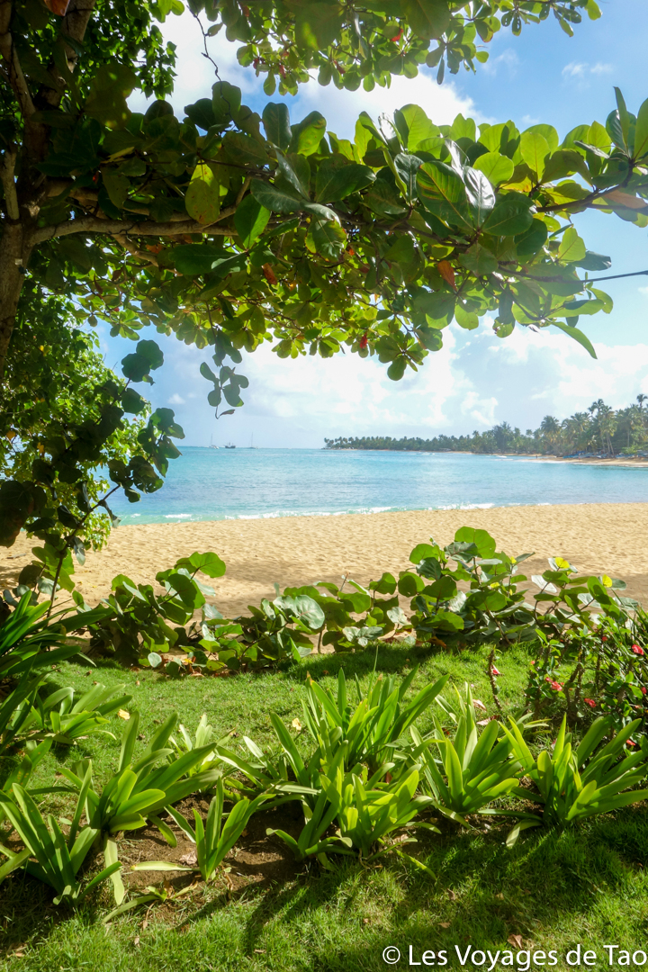 Playa Fronton République Dominicaine